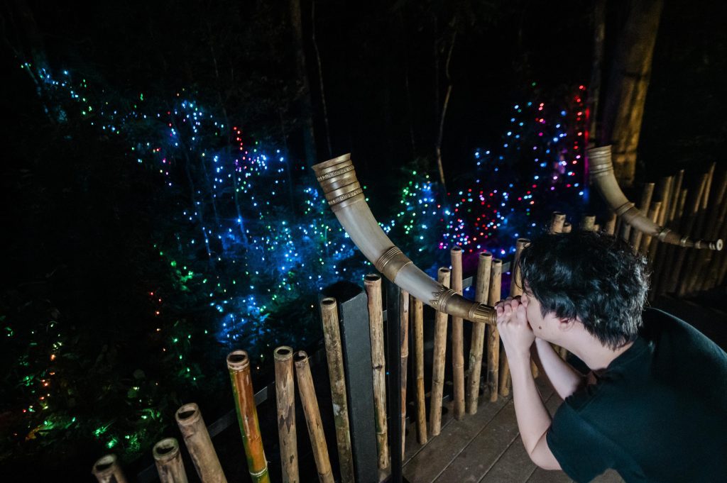 Interative Fireflies Experience (3)