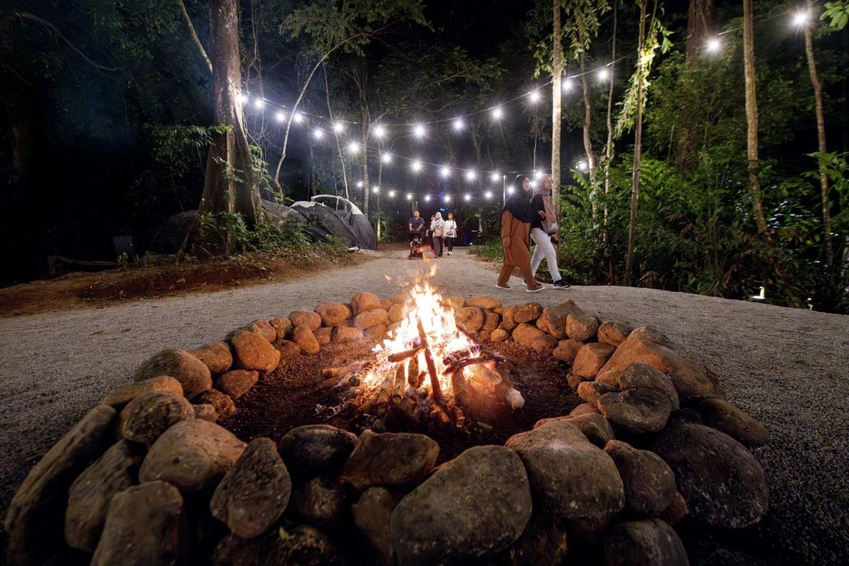 Tree Village Campfire & Marshmallows