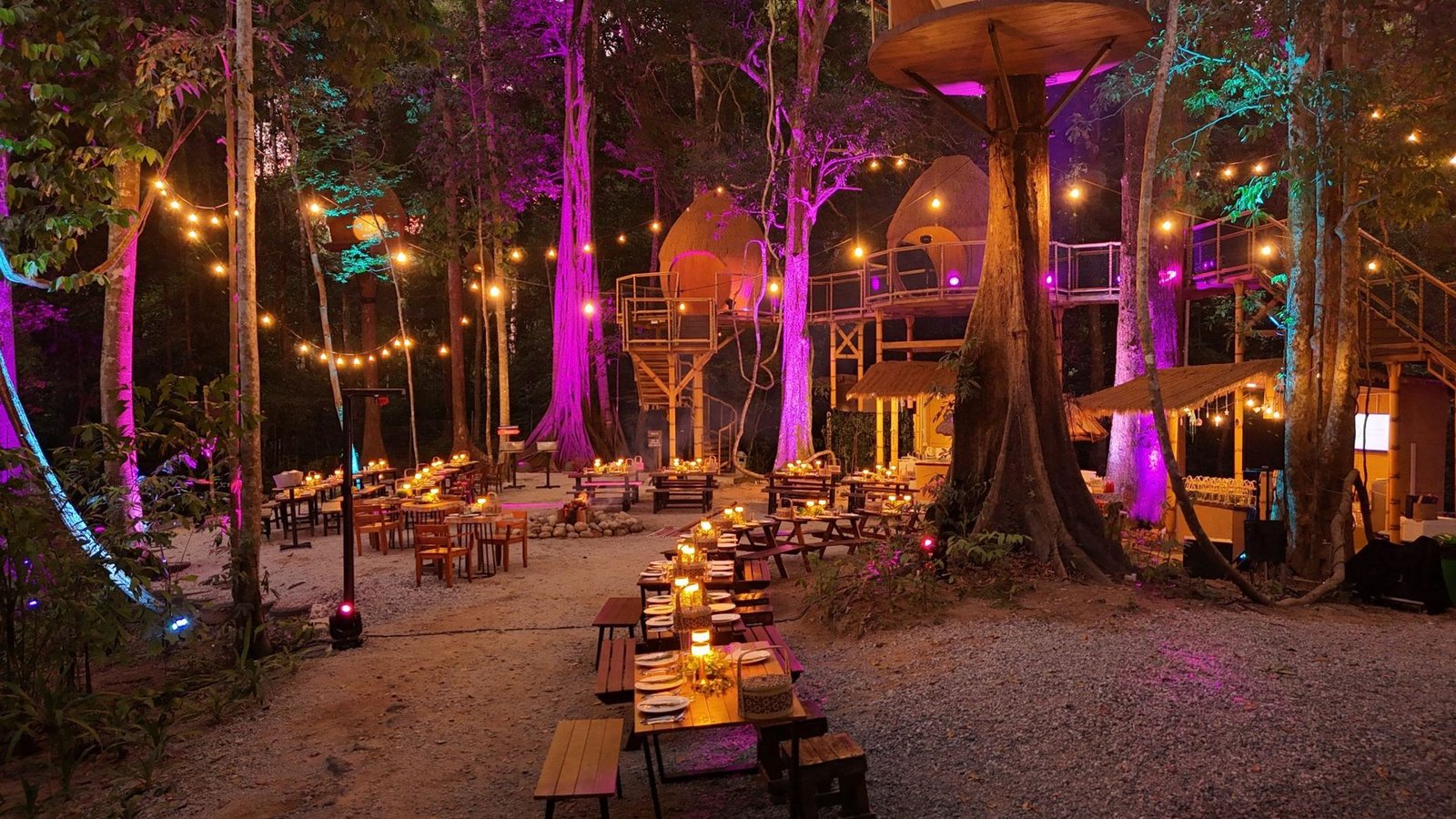 What is Dream Forest Langkawi? The Complete Guide to Malaysia’s 1st Immersive Night Walk